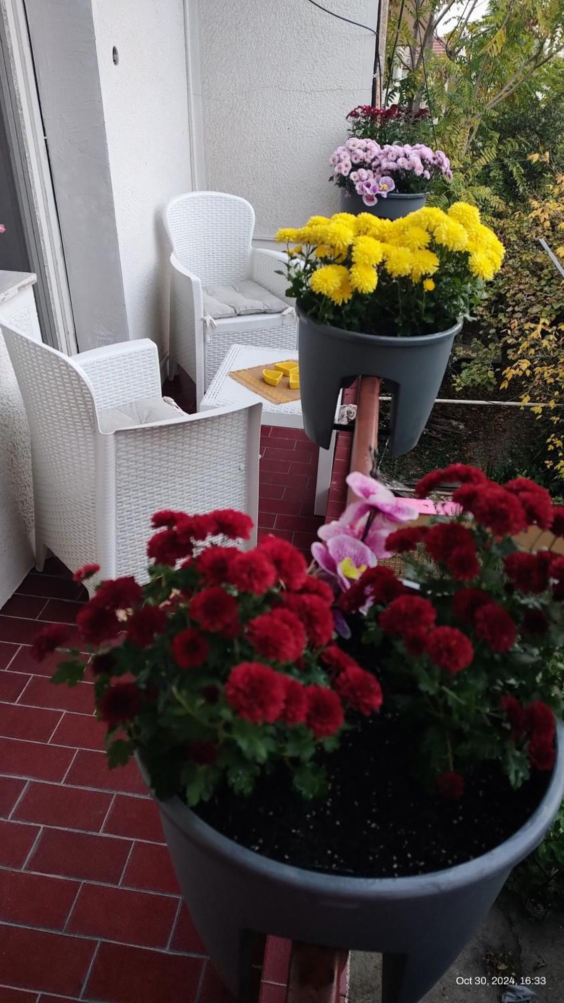 Digital Nomad Comfy Apartment,Foot Mountain Vodno And Millennium Cross,19 Min By Walk To Cener,Free Parking Скопье Экстерьер фото